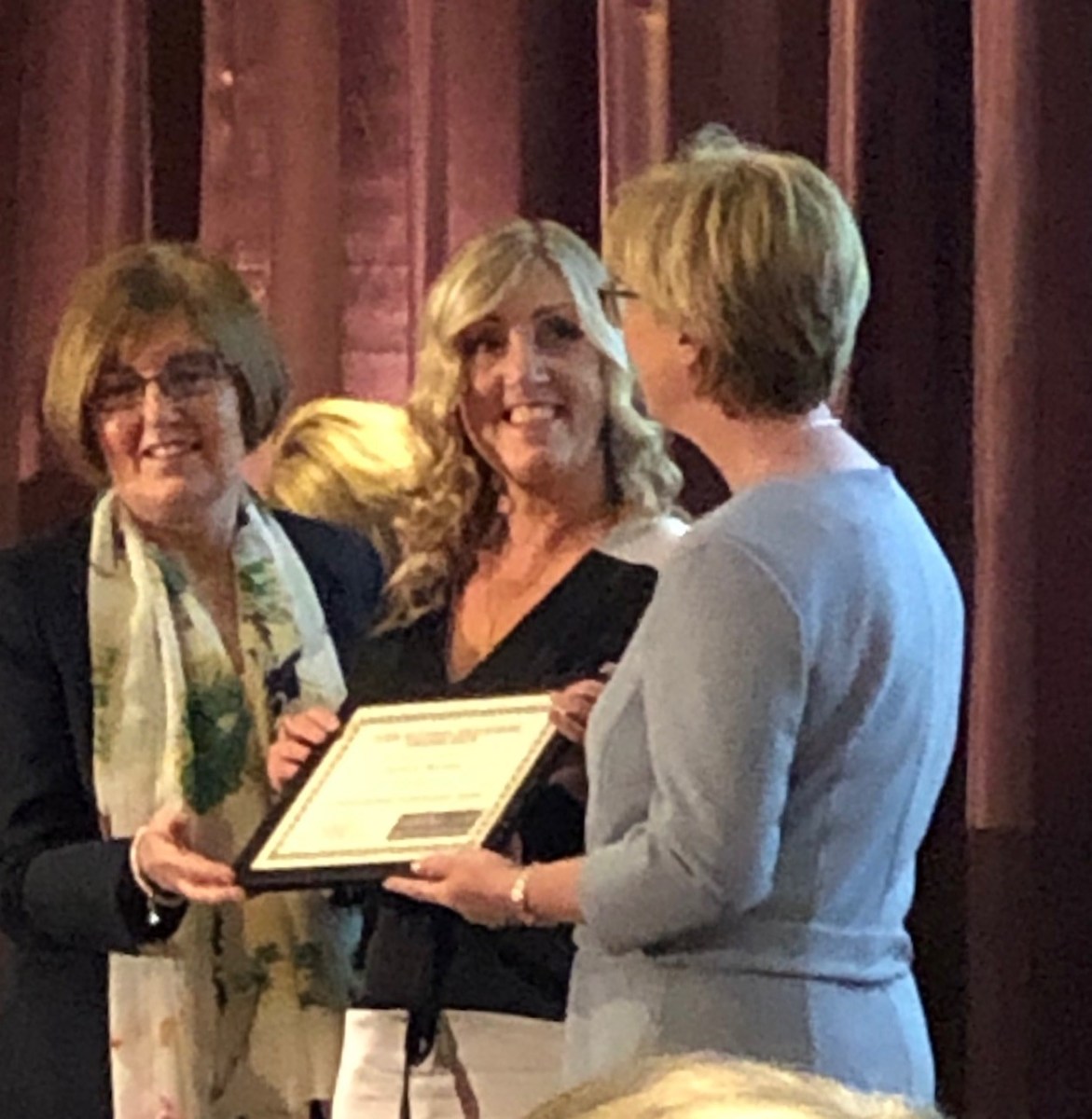 Cat sitter cat minder cattery