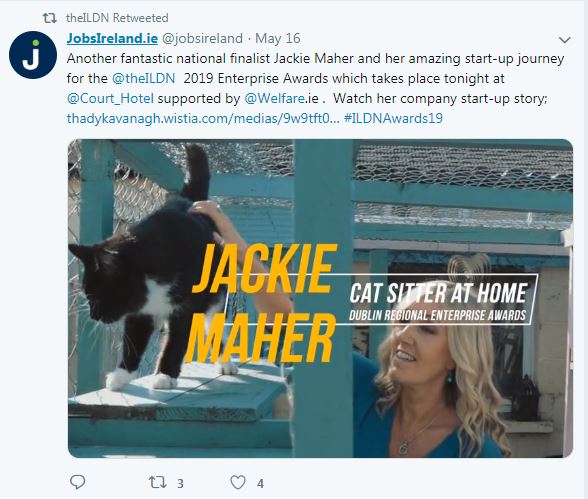 Cat sitter cat minder cattery