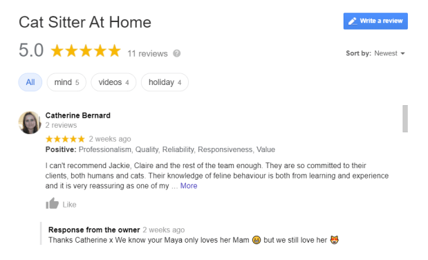 cat sitter dublin rev1